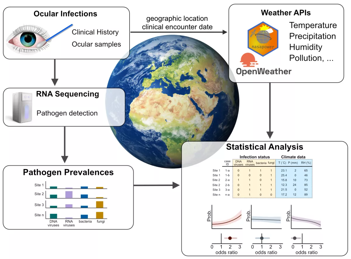 Schematic of the Climate and Eye Health Project